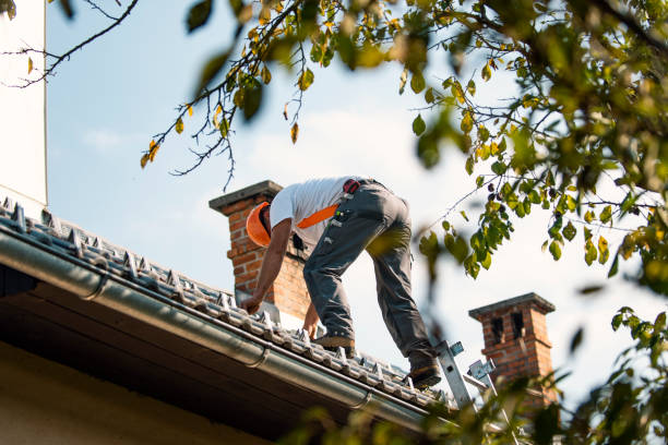 Steel Roofing in Tamalpais Homestead Valley, CA